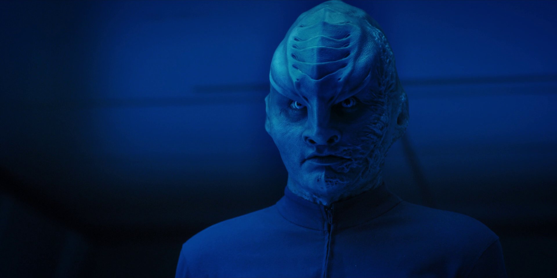 extant_StarTrekDiscovery_1x14-TheWarWithoutTheWarWithin_2763.jpg