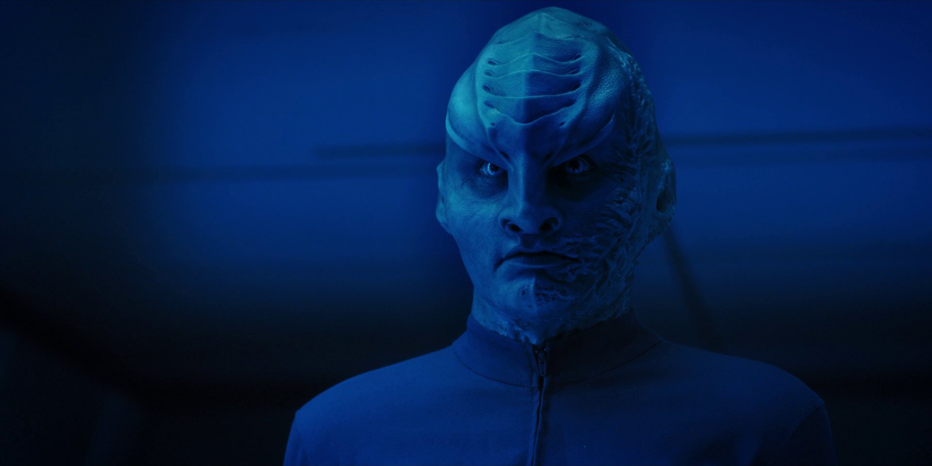 extant_StarTrekDiscovery_1x14-TheWarWithoutTheWarWithin_2765.jpg