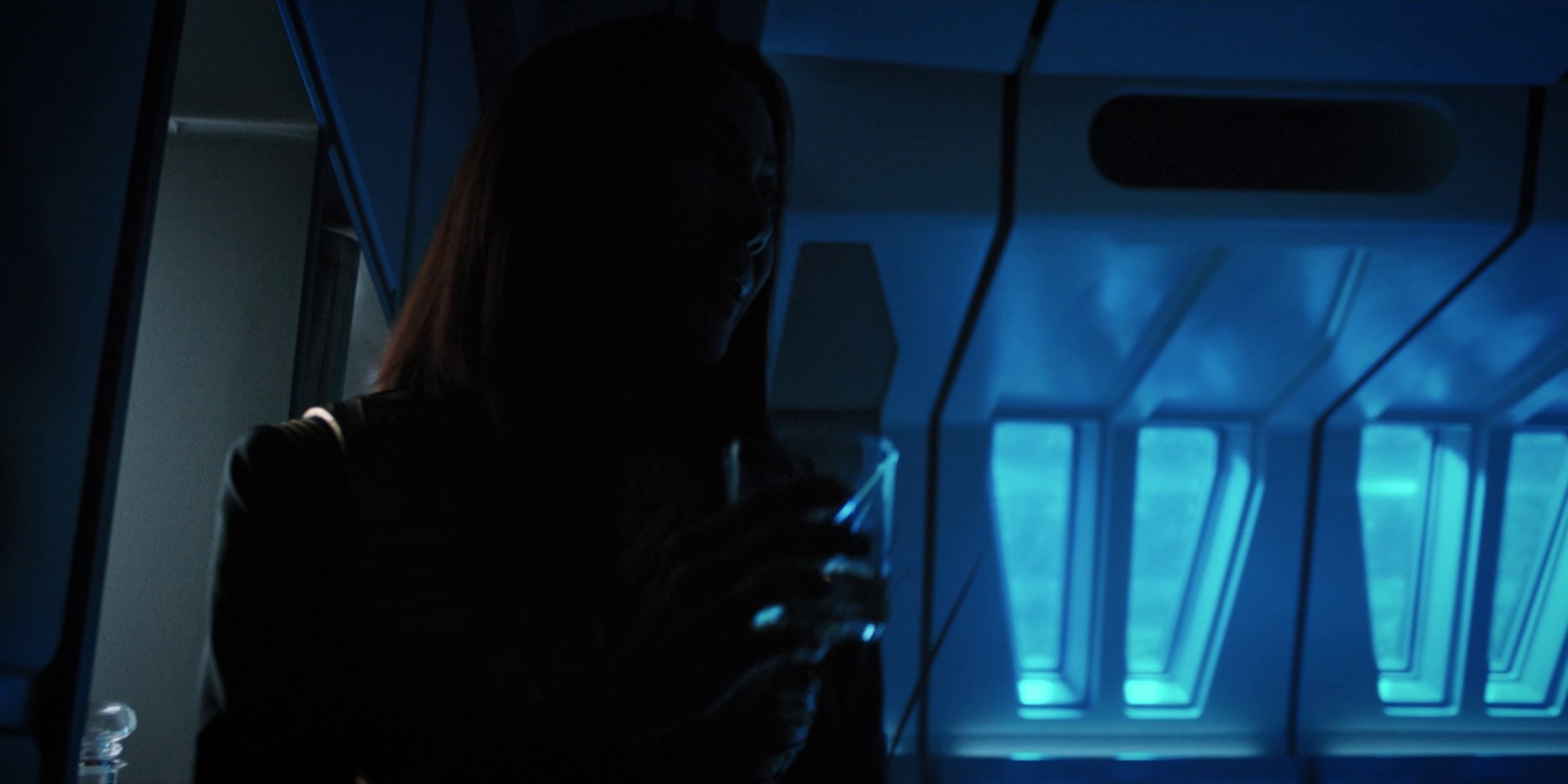 extant_StarTrekDiscovery_1x14-TheWarWithoutTheWarWithin_3482.jpg