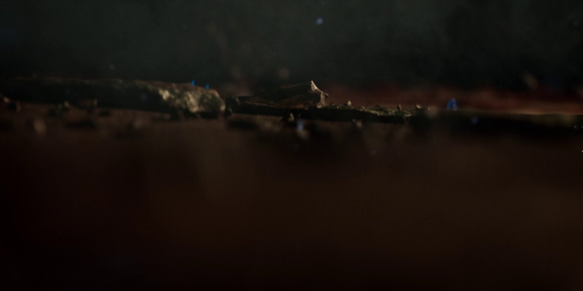 extant_StarTrekDiscovery_1x14-TheWarWithoutTheWarWithin_4304.jpg