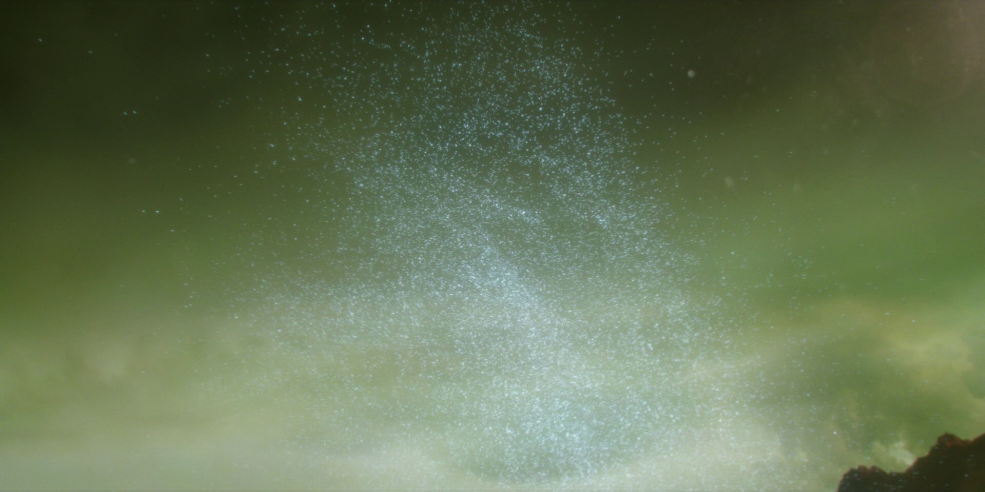 extant_StarTrekDiscovery_1x14-TheWarWithoutTheWarWithin_4367.jpg