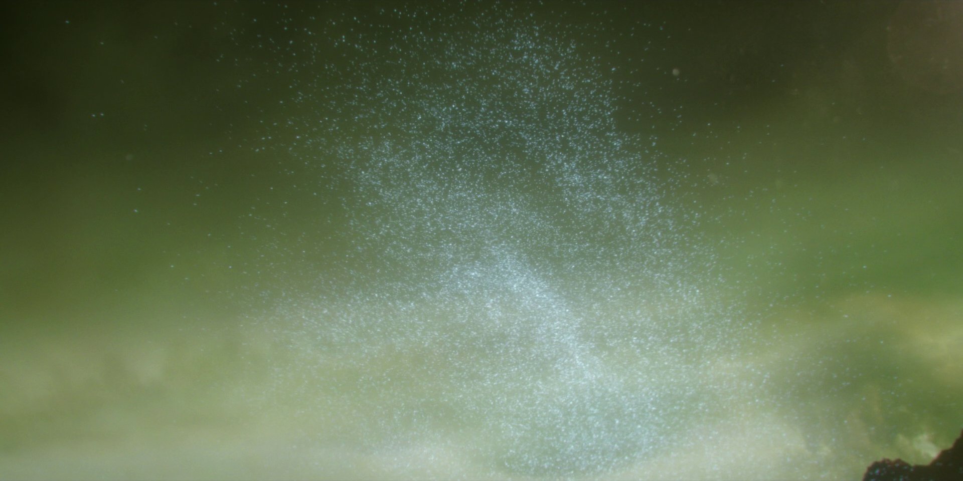 extant_StarTrekDiscovery_1x14-TheWarWithoutTheWarWithin_4368.jpg