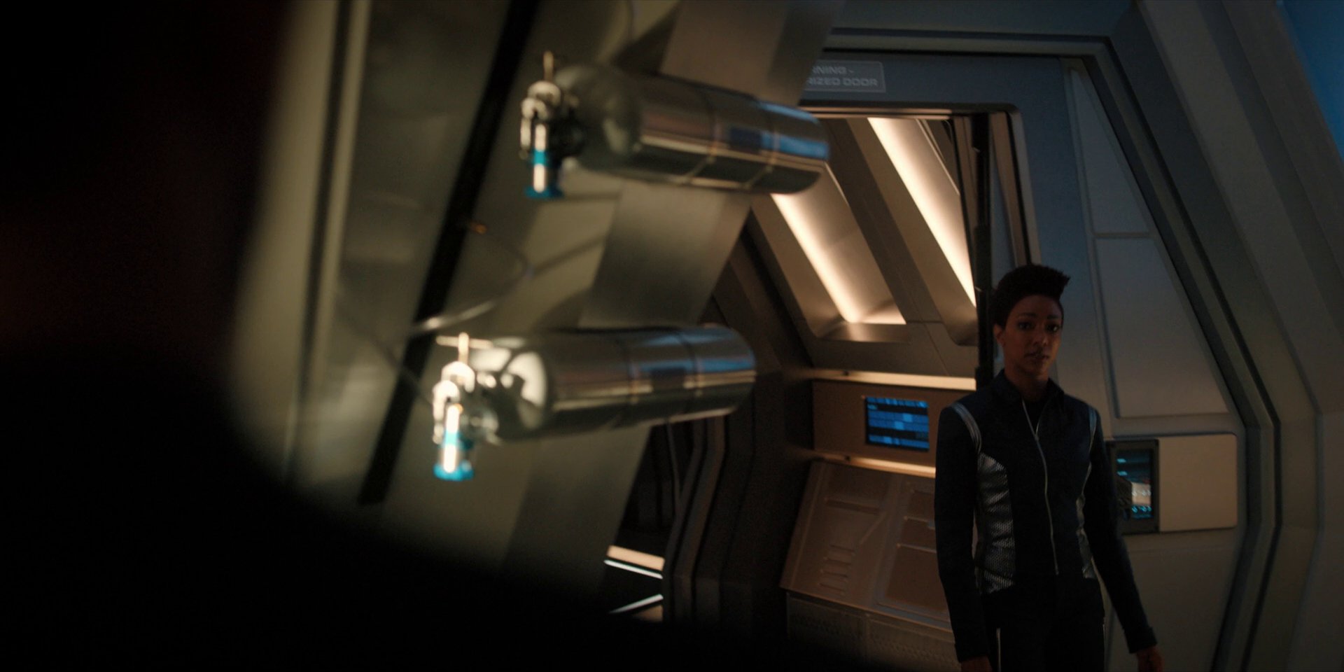extant_StarTrekDiscovery_1x14-TheWarWithoutTheWarWithin_4436.jpg