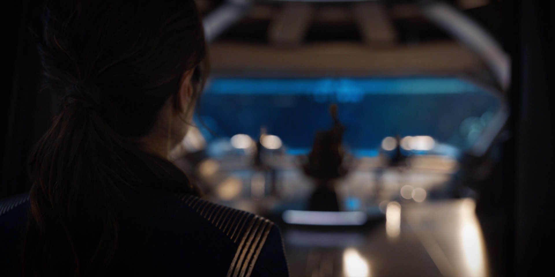 extant_StarTrekDiscovery_1x14-TheWarWithoutTheWarWithin_5145.jpg