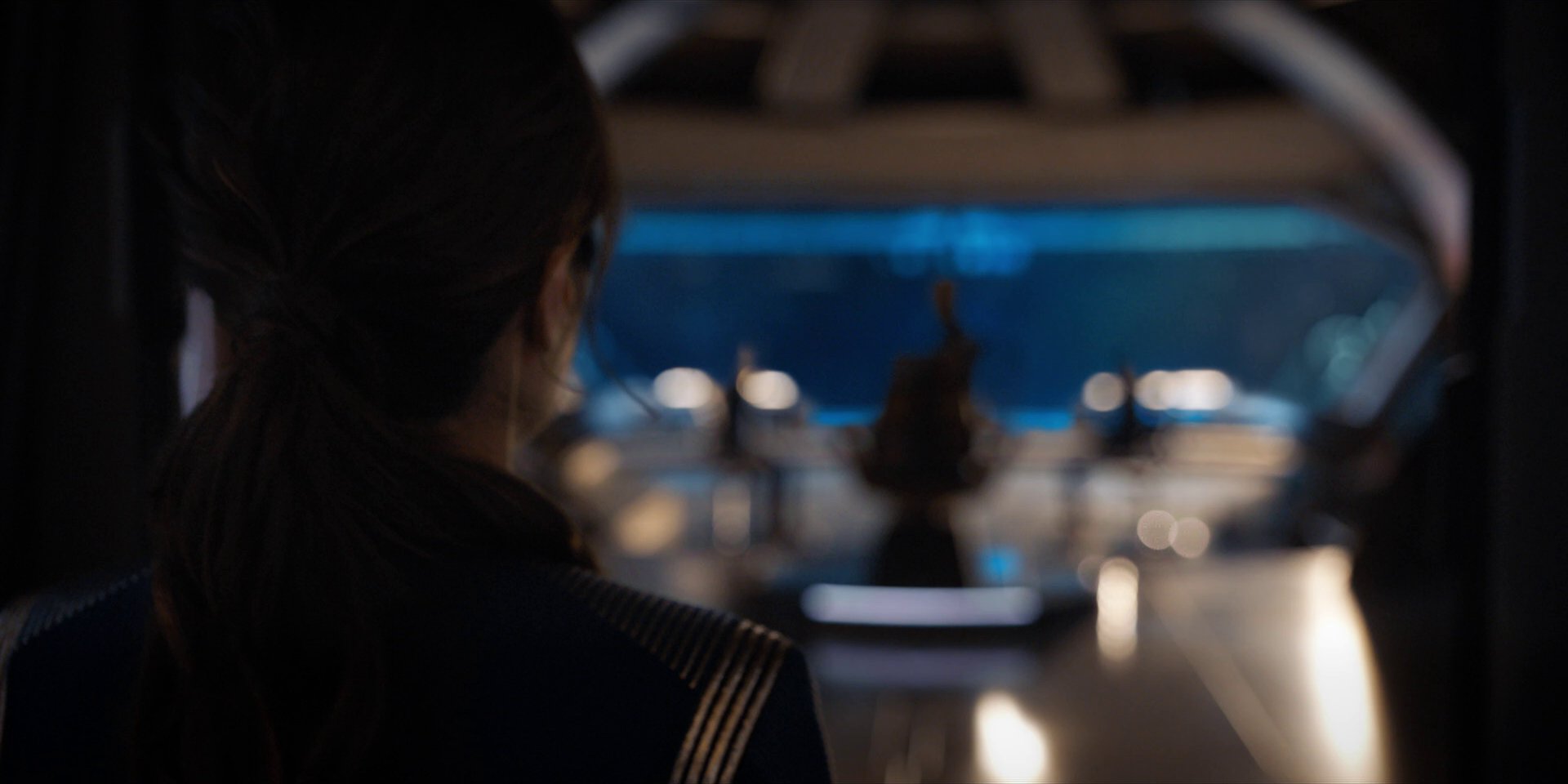 extant_StarTrekDiscovery_1x14-TheWarWithoutTheWarWithin_5146.jpg