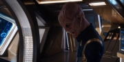 Filename=extant_StarTrekDiscovery_1x14-TheWarWithoutTheWarWithin_4166.jpg
Filesize=172KiB
Dimensions=1920x960
Date added=Jan 03, 2019 extant_StarTrekDiscovery_1x14-TheWarWithoutTheWarWithin_4166.jpg