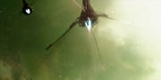 extant_StarTrekDiscovery_1x14-TheWarWithoutTheWarWithin_4200.jpg