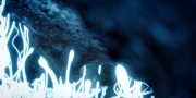 Filename=extant_StarTrekDiscovery_1x14-TheWarWithoutTheWarWithin_4303.jpg
Filesize=191KiB
Dimensions=1920x960
Date added=Jan 03, 2019 extant_StarTrekDiscovery_1x14-TheWarWithoutTheWarWithin_4303.jpg