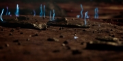 Filename=extant_StarTrekDiscovery_1x14-TheWarWithoutTheWarWithin_4305.jpg
Filesize=155KiB
Dimensions=1920x960
Date added=Jan 03, 2019 extant_StarTrekDiscovery_1x14-TheWarWithoutTheWarWithin_4305.jpg
