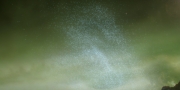 Filename=extant_StarTrekDiscovery_1x14-TheWarWithoutTheWarWithin_4368.jpg
Filesize=177KiB
Dimensions=1920x960
Date added=Jan 03, 2019 extant_StarTrekDiscovery_1x14-TheWarWithoutTheWarWithin_4368.jpg