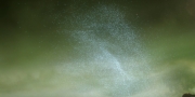 Filename=extant_StarTrekDiscovery_1x14-TheWarWithoutTheWarWithin_4369.jpg
Filesize=206KiB
Dimensions=1920x960
Date added=Jan 03, 2019 extant_StarTrekDiscovery_1x14-TheWarWithoutTheWarWithin_4369.jpg