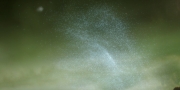 Filename=extant_StarTrekDiscovery_1x14-TheWarWithoutTheWarWithin_4370.jpg
Filesize=192KiB
Dimensions=1920x960
Date added=Jan 03, 2019 extant_StarTrekDiscovery_1x14-TheWarWithoutTheWarWithin_4370.jpg