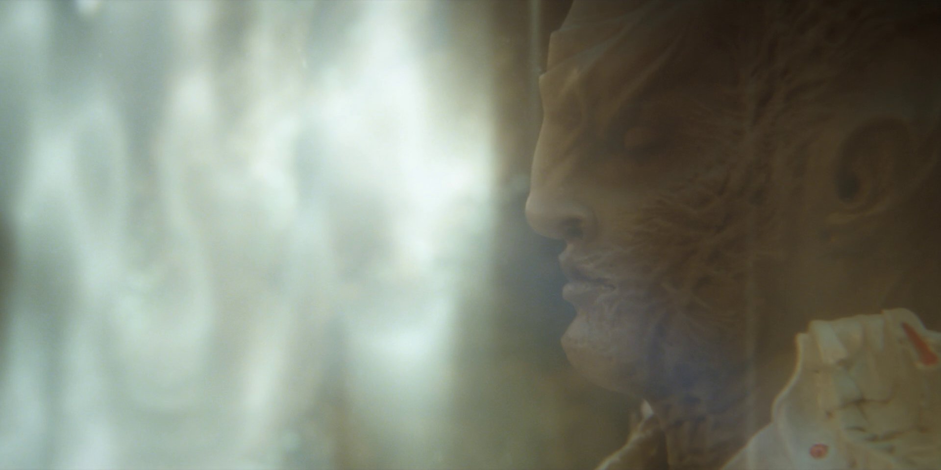 extant_StarTrekDiscovery_1x15-WillYouTakeMyHand_3955.jpg