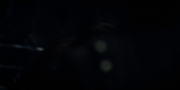 Filename=extant_StarTrekDiscovery_1x15-WillYouTakeMyHand_3246.jpg
Filesize=53KiB
Dimensions=1920x960
Date added=Jan 03, 2019 extant_StarTrekDiscovery_1x15-WillYouTakeMyHand_3246.jpg