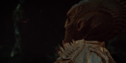 Filename=extant_StarTrekDiscovery_1x15-WillYouTakeMyHand_3981.jpg
Filesize=107KiB
Dimensions=1920x960
Date added=Jan 03, 2019 extant_StarTrekDiscovery_1x15-WillYouTakeMyHand_3981.jpg
