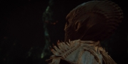 Filename=extant_StarTrekDiscovery_1x15-WillYouTakeMyHand_3984.jpg
Filesize=109KiB
Dimensions=1920x960
Date added=Jan 03, 2019 extant_StarTrekDiscovery_1x15-WillYouTakeMyHand_3984.jpg