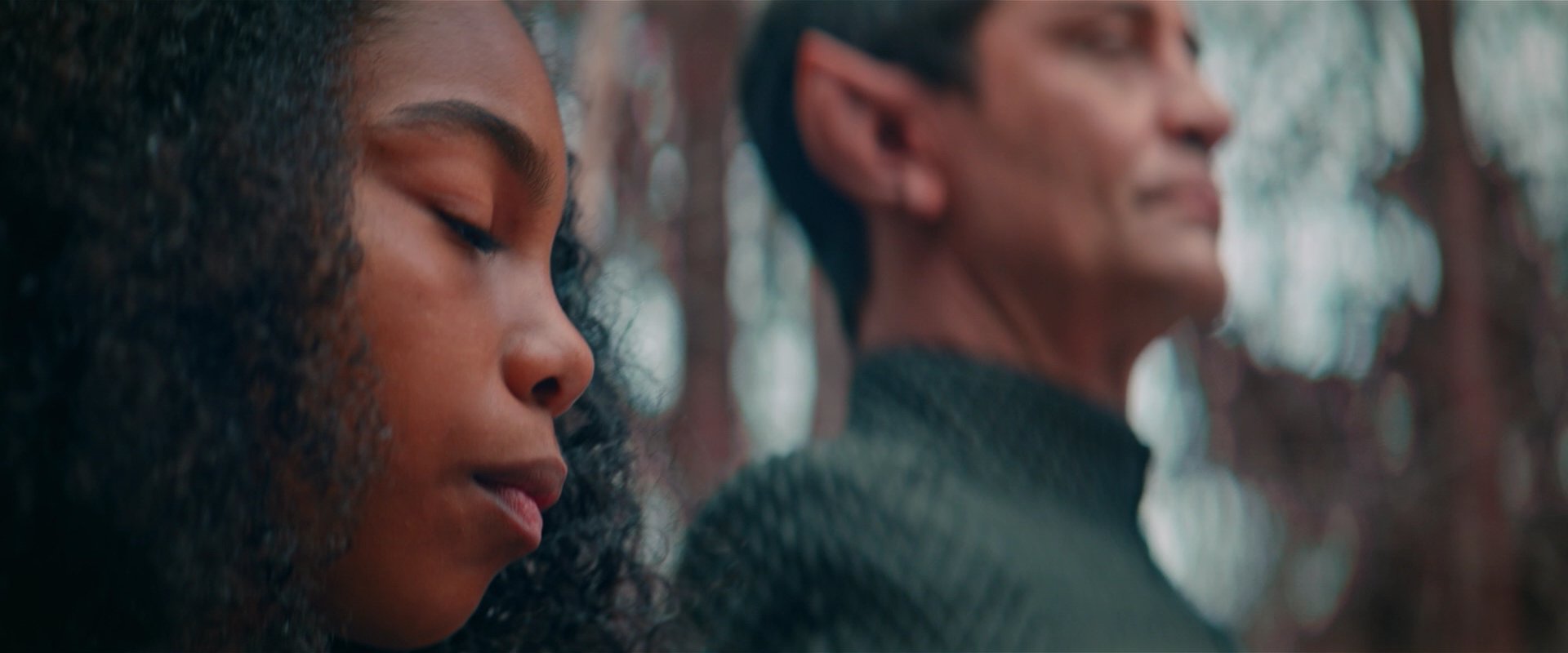 extant_StarTrekDiscovery_2x01-Brother_00510.jpg