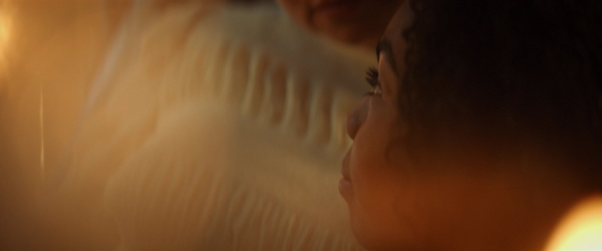 extant_StarTrekDiscovery_2x01-Brother_02603.jpg