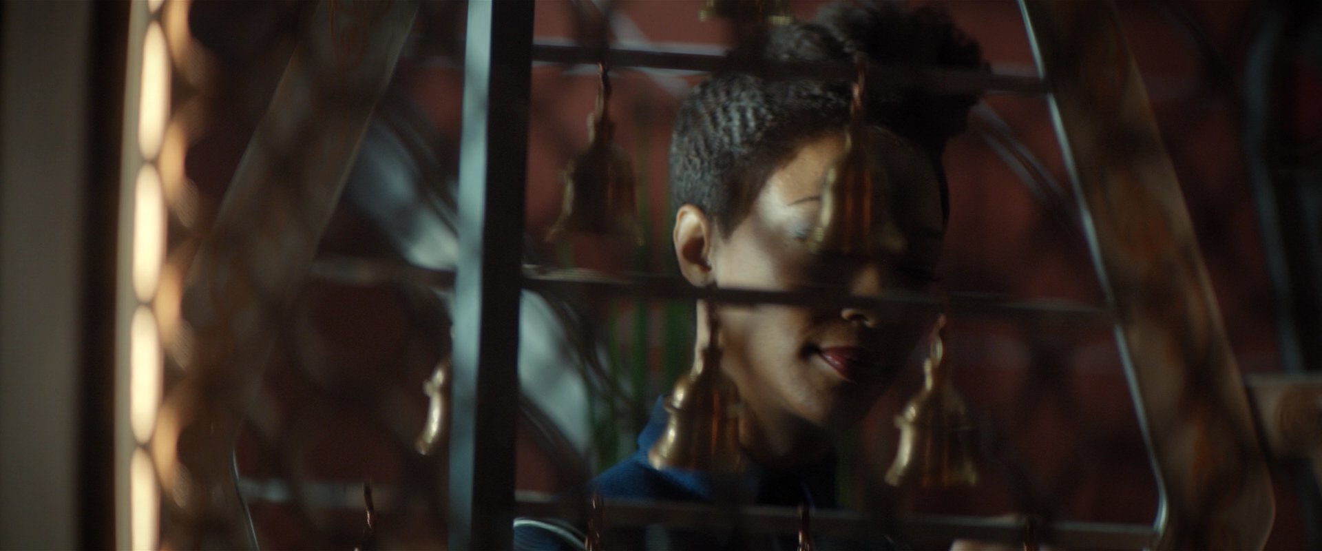 extant_StarTrekDiscovery_2x01-Brother_06831.jpg