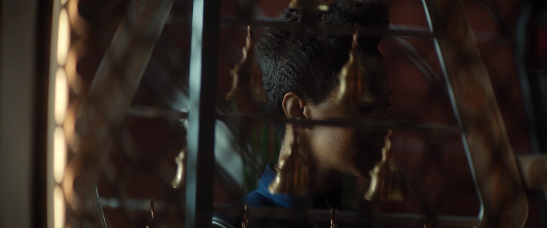 extant_StarTrekDiscovery_2x01-Brother_06833.jpg