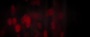 Filename=extant_StarTrekDiscovery_2x01-Brother_00447.jpg
Filesize=35KiB
Dimensions=1920x800
Date added=Dec 07, 2019 extant_StarTrekDiscovery_2x01-Brother_00447.jpg