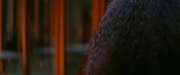 Filename=extant_StarTrekDiscovery_2x01-Brother_00522.jpg
Filesize=86KiB
Dimensions=1920x800
Date added=Dec 07, 2019 extant_StarTrekDiscovery_2x01-Brother_00522.jpg