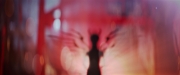Filename=extant_StarTrekDiscovery_2x01-Brother_05715.jpg
Filesize=78KiB
Dimensions=1920x800
Date added=Dec 07, 2019 extant_StarTrekDiscovery_2x01-Brother_05715.jpg