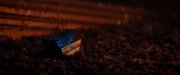 Filename=extant_StarTrekDiscovery_2x01-Brother_05759.jpg
Filesize=122KiB
Dimensions=1920x800
Date added=Dec 07, 2019 extant_StarTrekDiscovery_2x01-Brother_05759.jpg