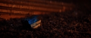 Filename=extant_StarTrekDiscovery_2x01-Brother_05760.jpg
Filesize=119KiB
Dimensions=1920x800
Date added=Dec 07, 2019 extant_StarTrekDiscovery_2x01-Brother_05760.jpg
