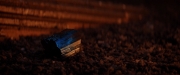 Filename=extant_StarTrekDiscovery_2x01-Brother_05761.jpg
Filesize=119KiB
Dimensions=1920x800
Date added=Dec 07, 2019 extant_StarTrekDiscovery_2x01-Brother_05761.jpg