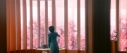 Filename=extant_StarTrekDiscovery_2x01-Brother_06988.jpg
Filesize=146KiB
Dimensions=1920x800
Date added=Dec 08, 2019 extant_StarTrekDiscovery_2x01-Brother_06988.jpg