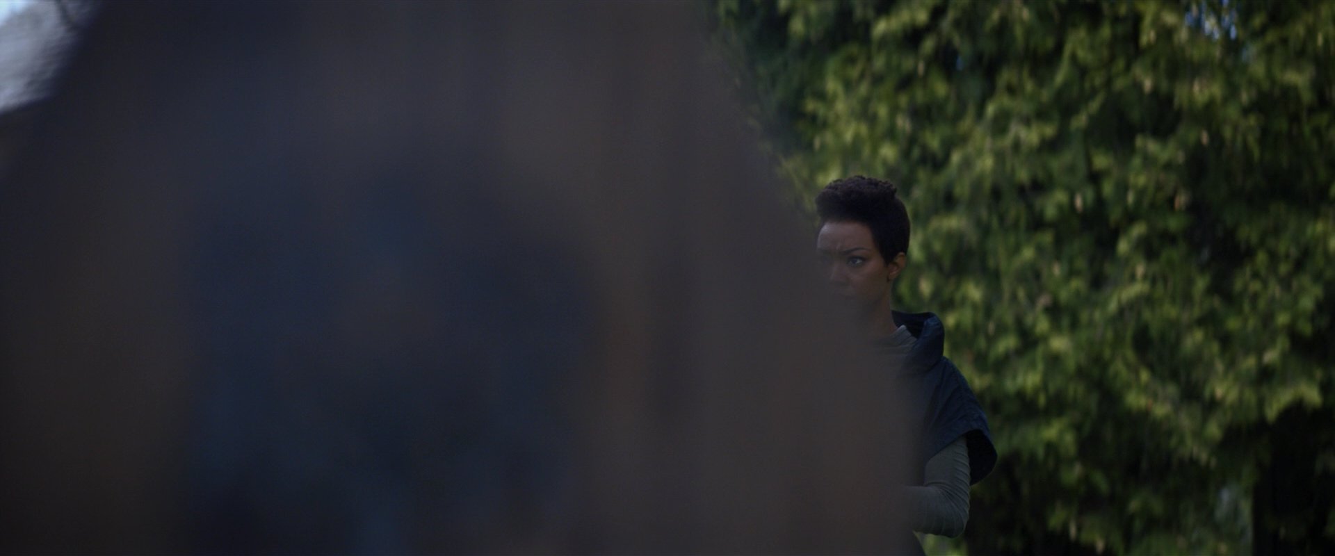 extant_StarTrekDiscovery_2x02-Eden_01725.jpg