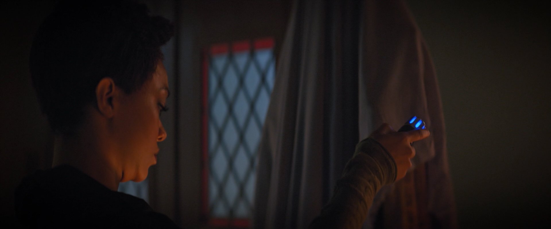 extant_StarTrekDiscovery_2x02-Eden_01795.jpg