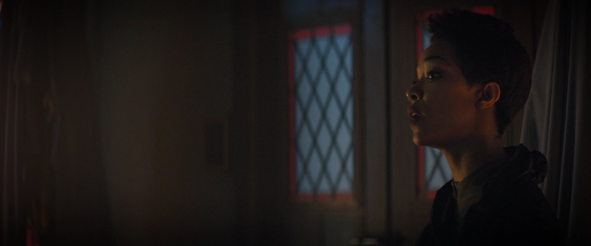 extant_StarTrekDiscovery_2x02-Eden_01819.jpg