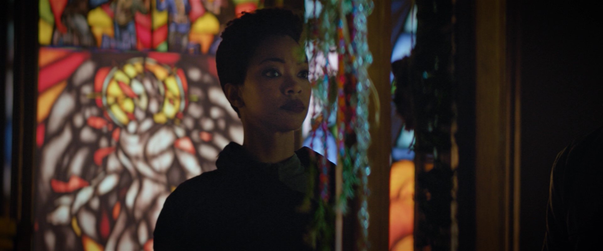 extant_StarTrekDiscovery_2x02-Eden_01960.jpg