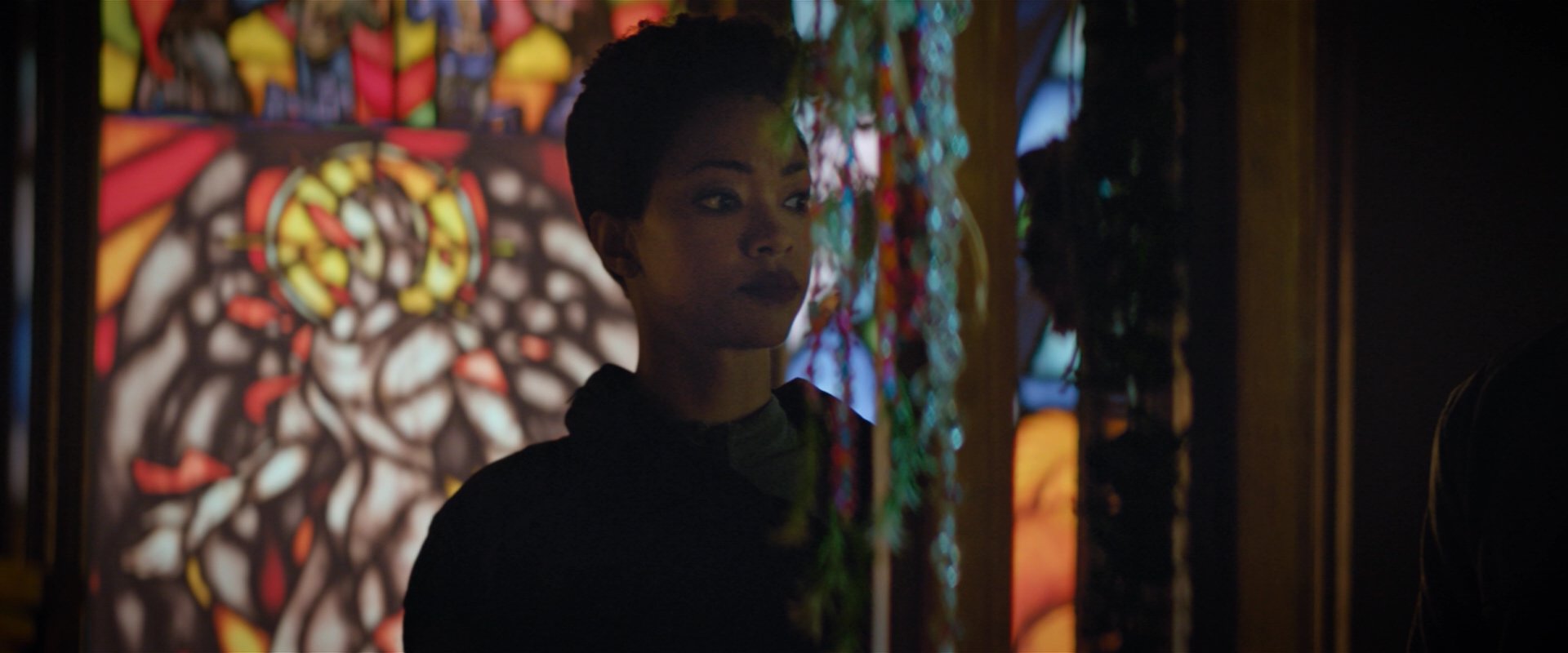 extant_StarTrekDiscovery_2x02-Eden_01961.jpg
