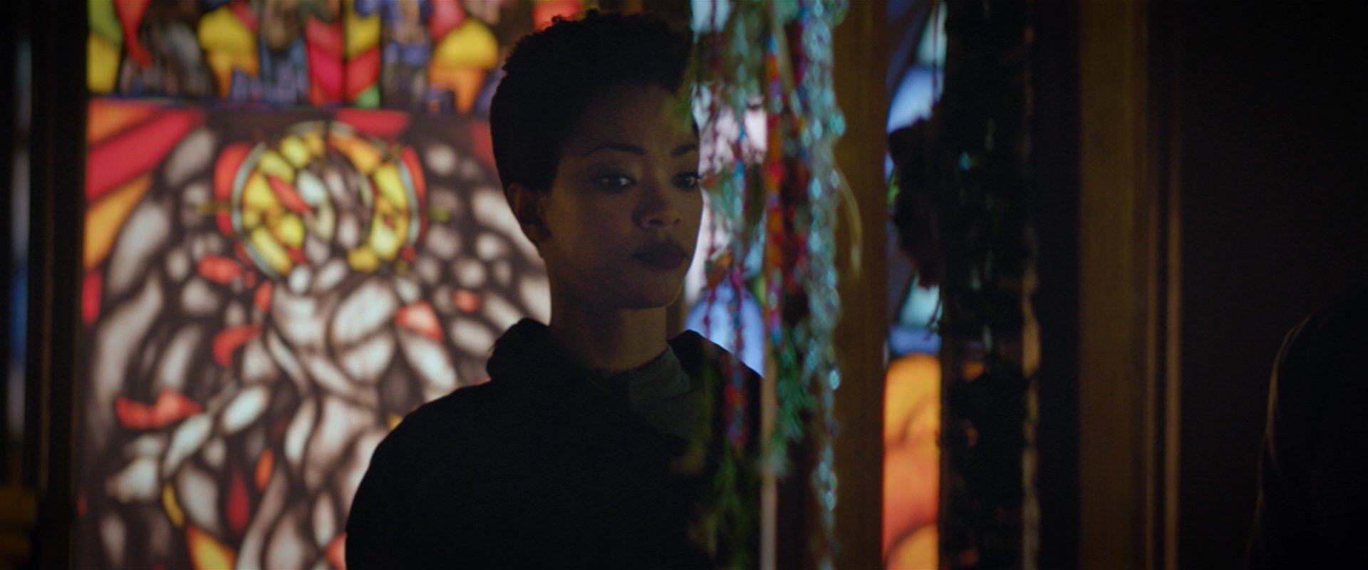 extant_StarTrekDiscovery_2x02-Eden_01962.jpg
