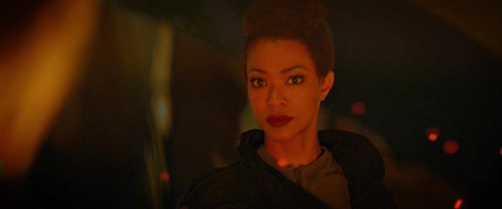 extant_StarTrekDiscovery_2x02-Eden_02040.jpg