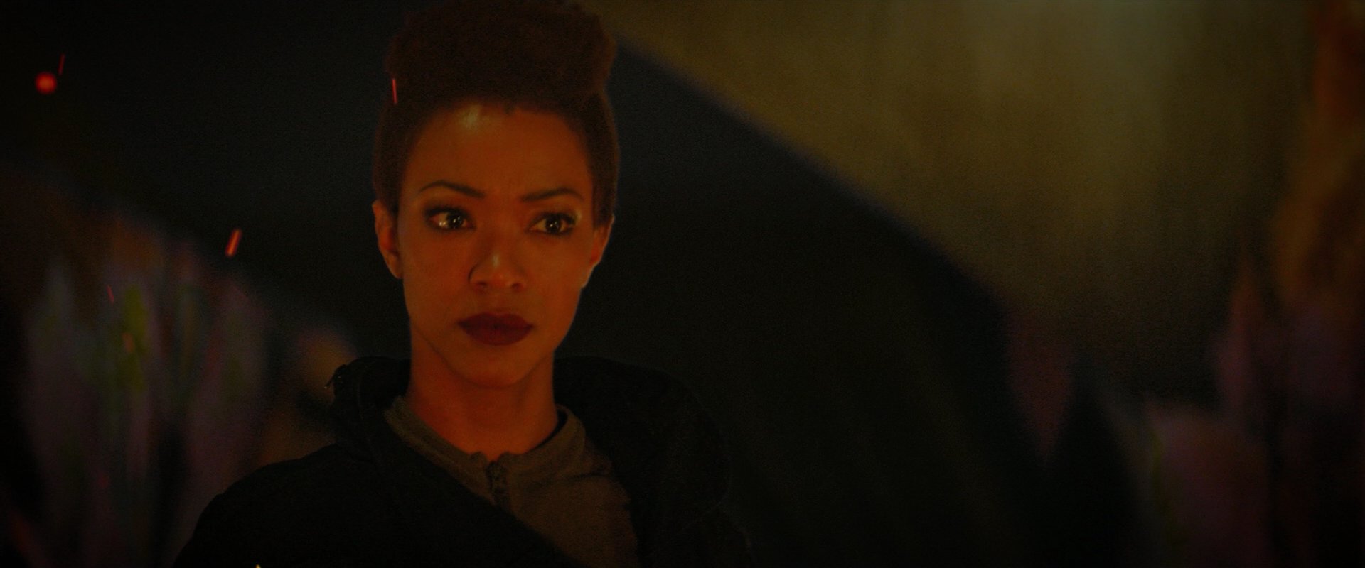 extant_StarTrekDiscovery_2x02-Eden_02080.jpg