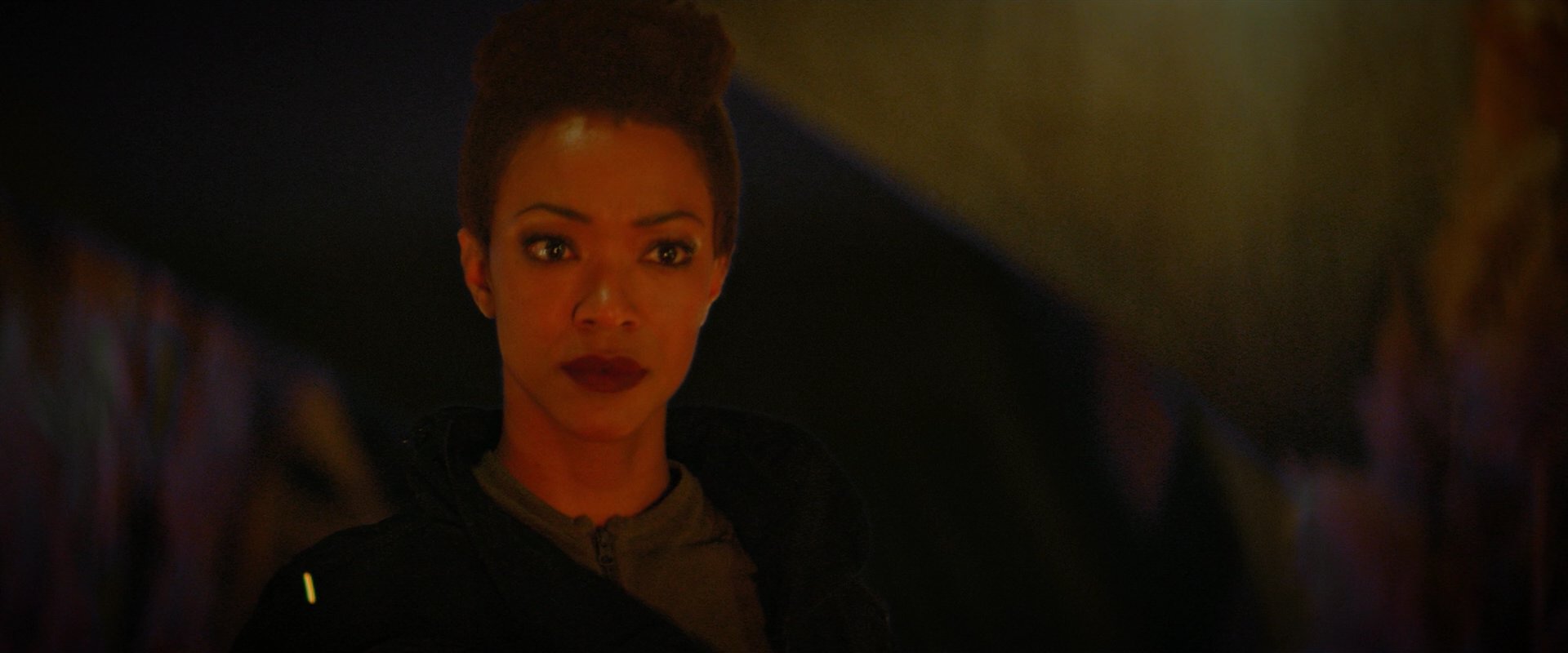 extant_StarTrekDiscovery_2x02-Eden_02129.jpg