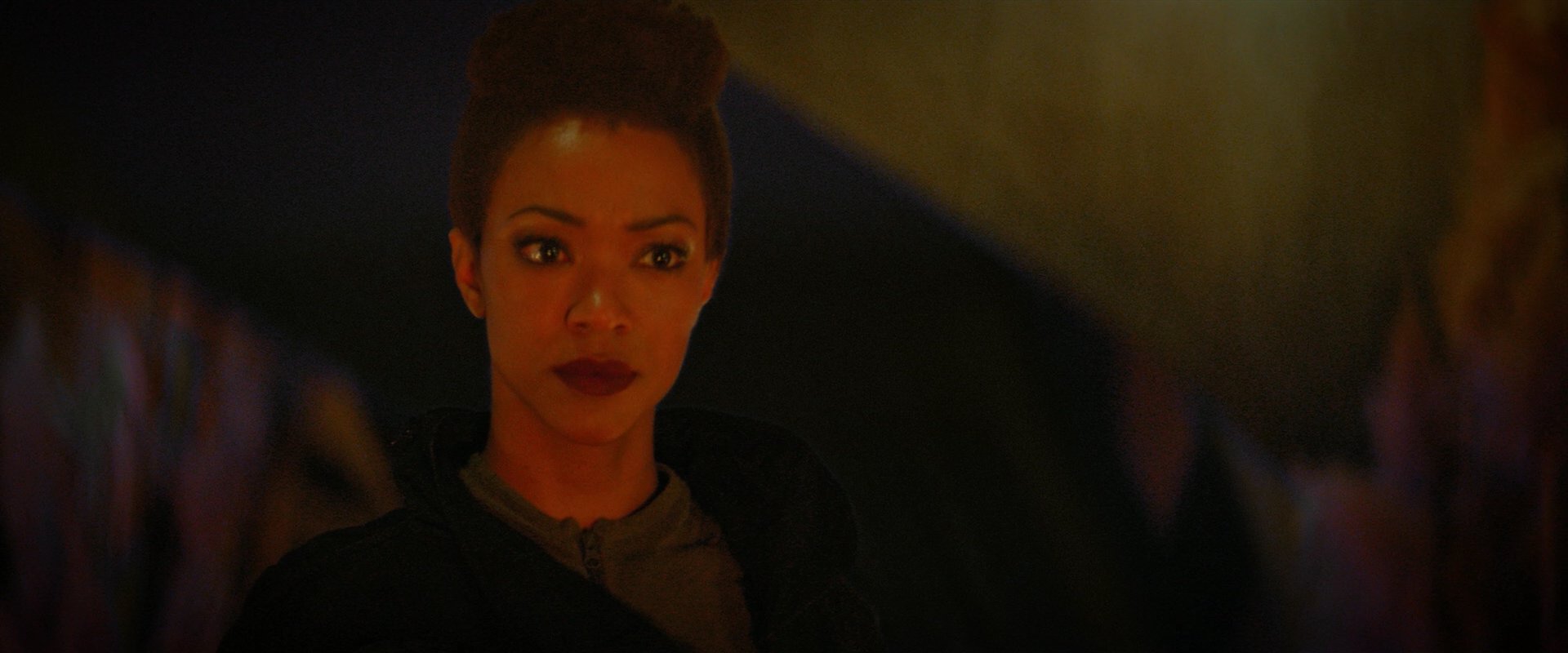 extant_StarTrekDiscovery_2x02-Eden_02130.jpg