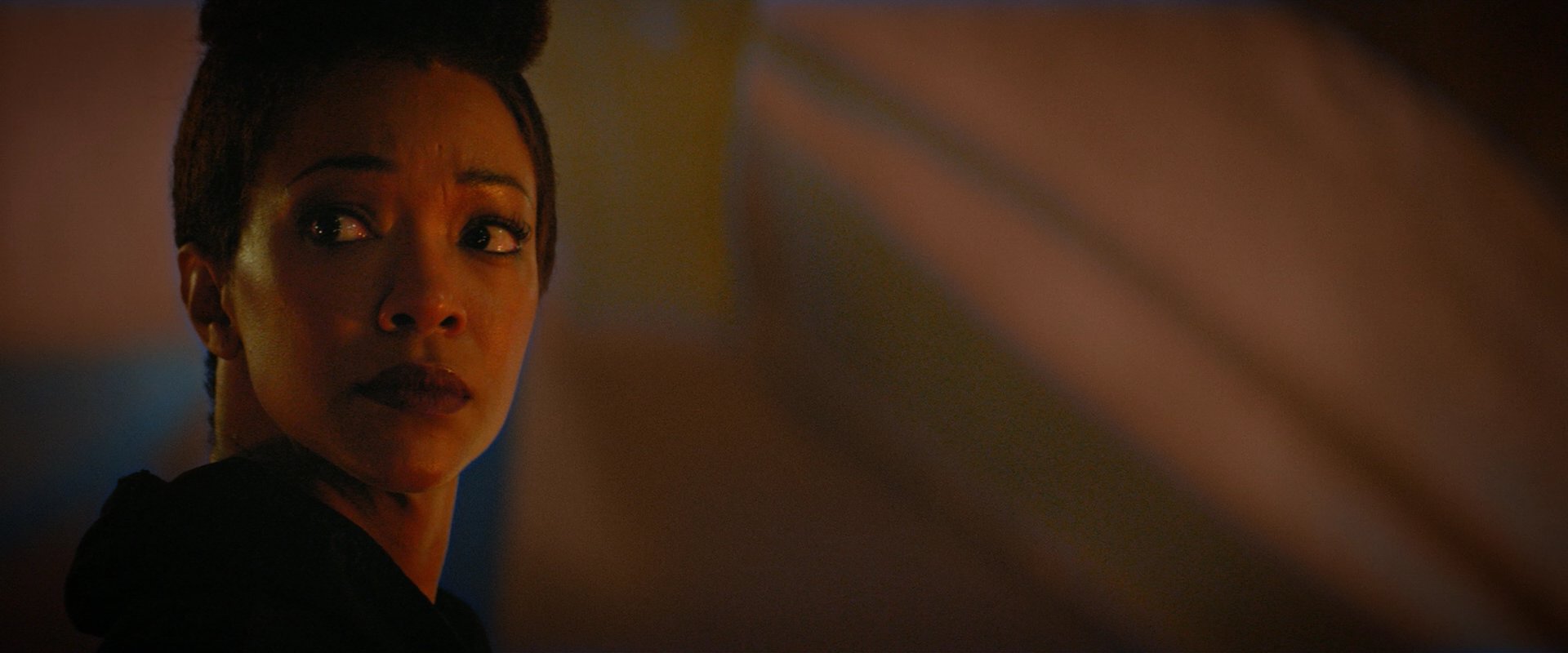 extant_StarTrekDiscovery_2x02-Eden_02275.jpg