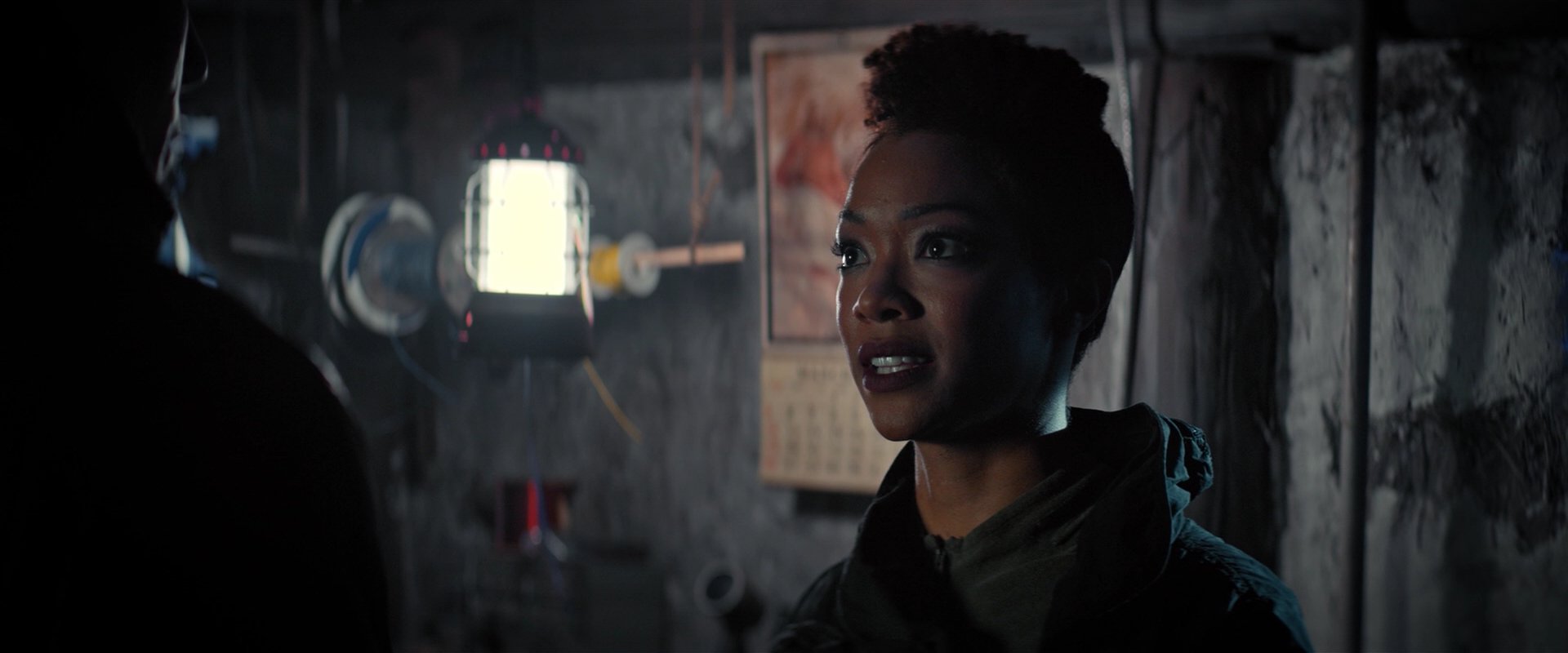 extant_StarTrekDiscovery_2x02-Eden_02742.jpg