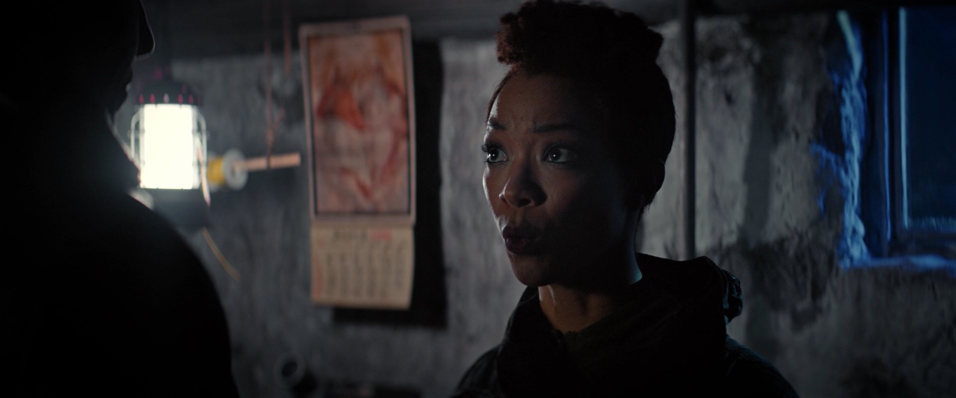 extant_StarTrekDiscovery_2x02-Eden_02813.jpg