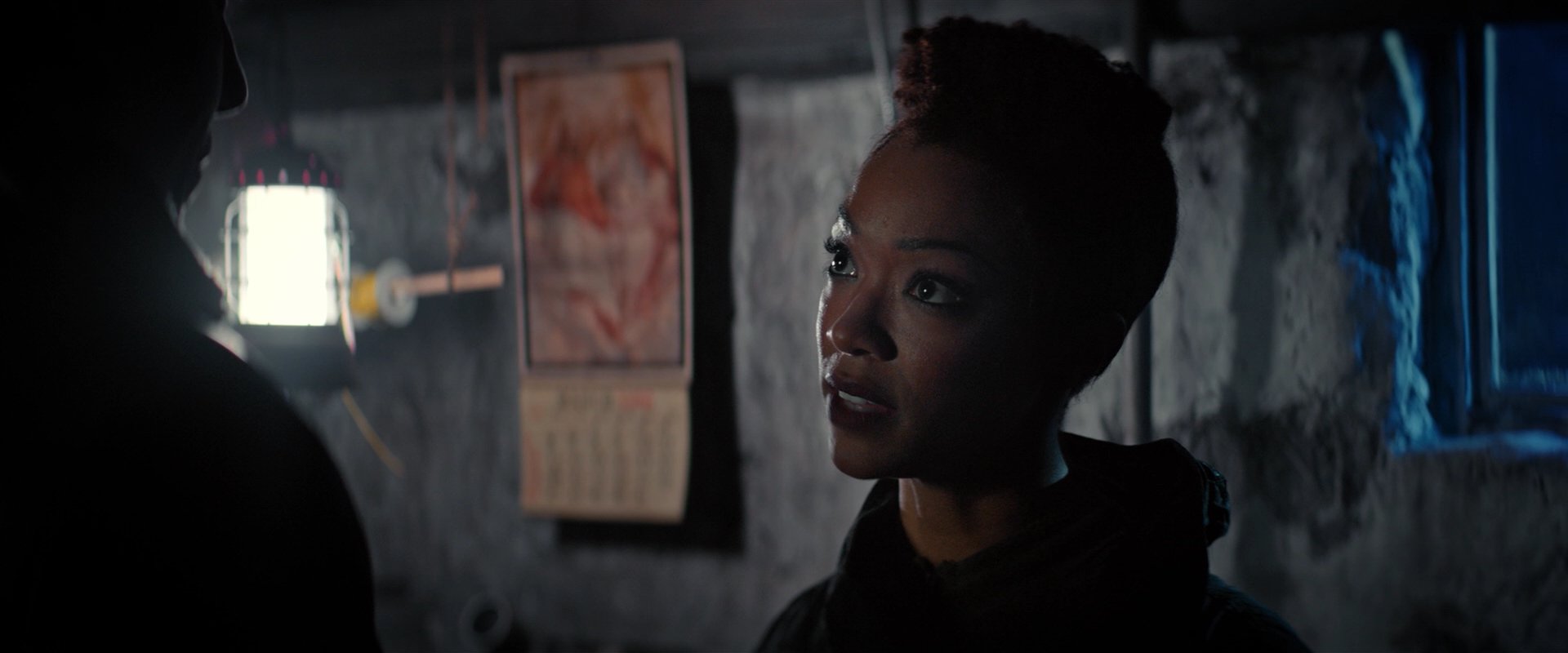 extant_StarTrekDiscovery_2x02-Eden_02815.jpg