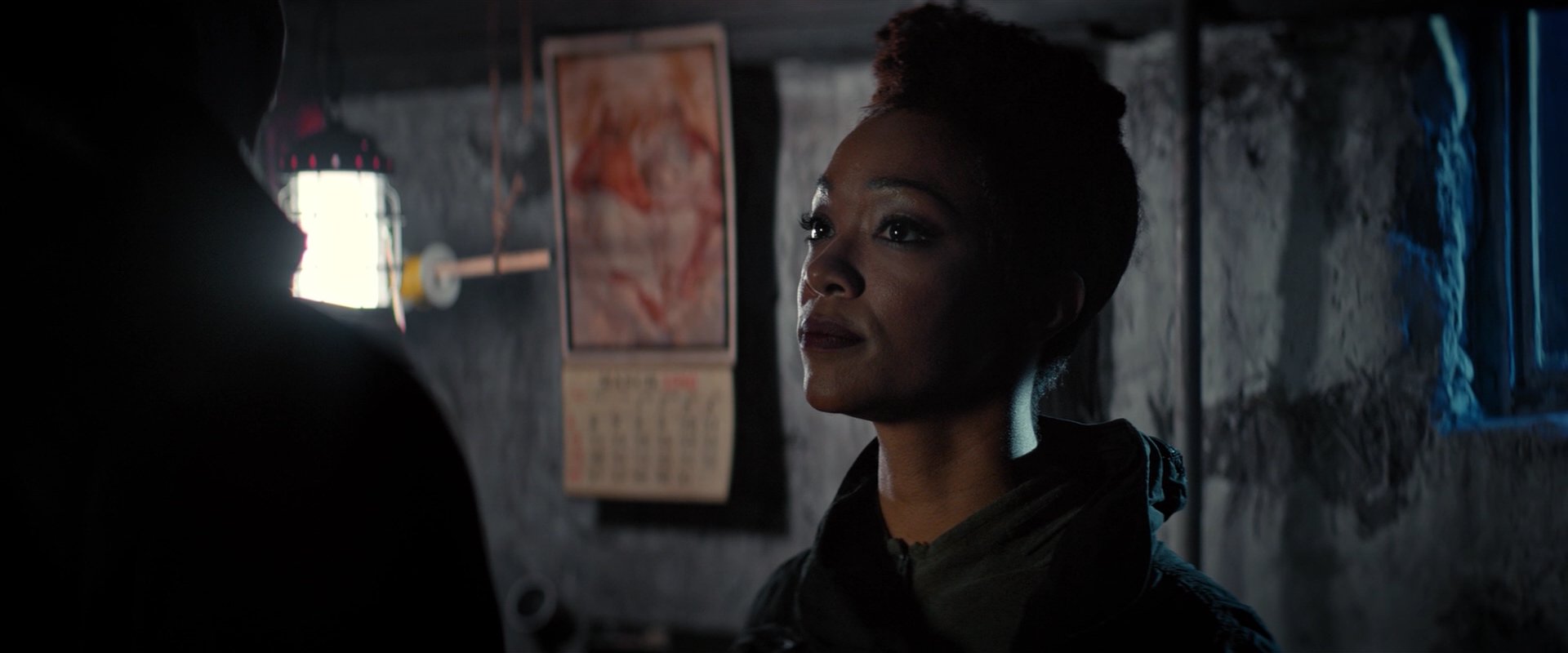 extant_StarTrekDiscovery_2x02-Eden_02831.jpg