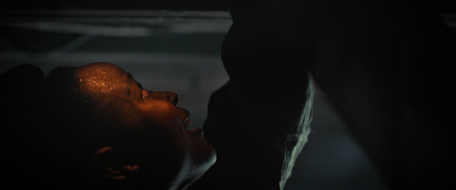 extant_StarTrekDiscovery_2x02-Eden_03054.jpg extant_StarTrekDiscovery_2x02-Eden_03054.jpg