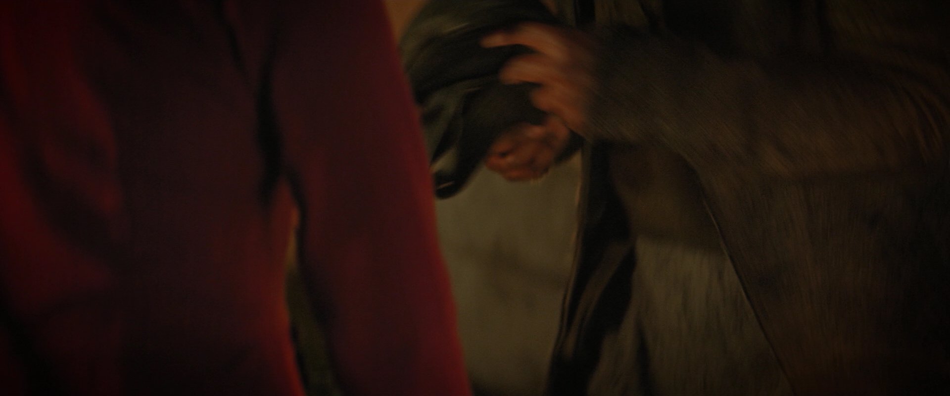 extant_StarTrekDiscovery_2x02-Eden_03489.jpg