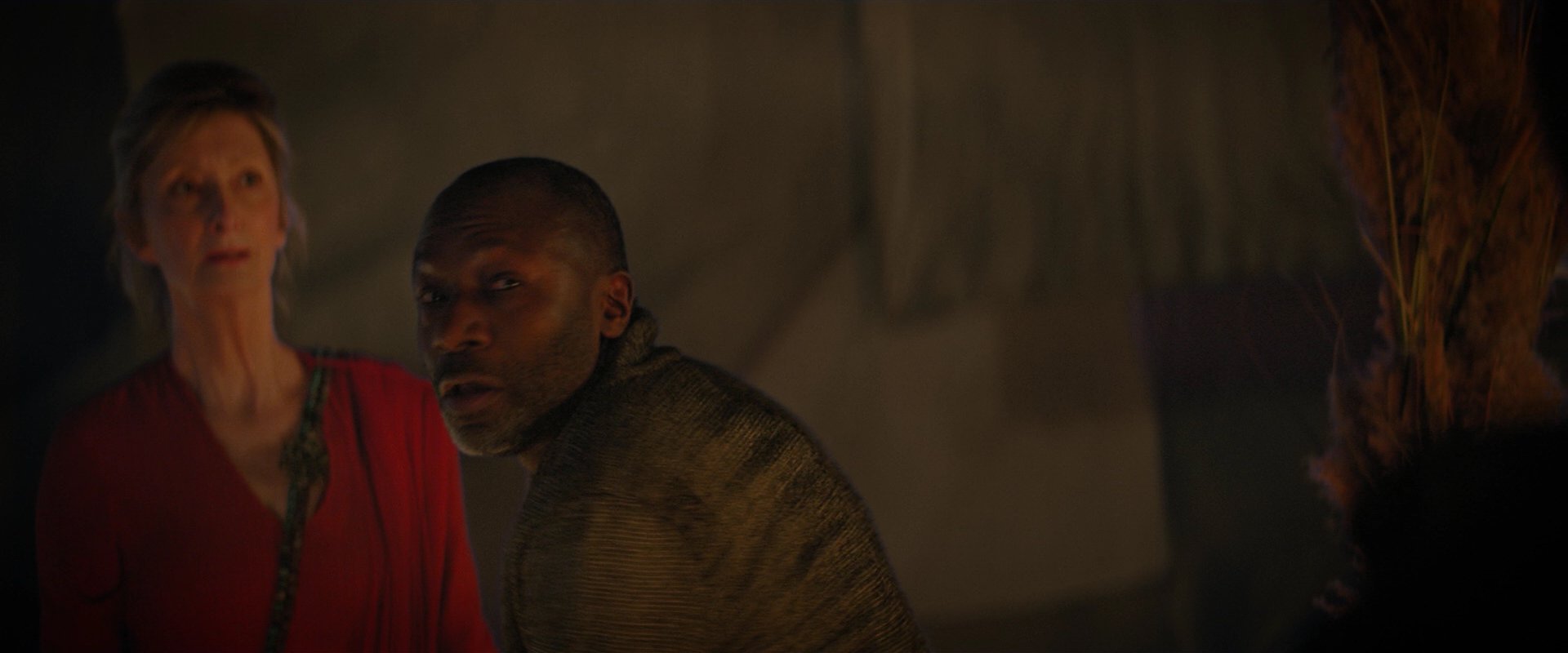 extant_StarTrekDiscovery_2x02-Eden_03554.jpg