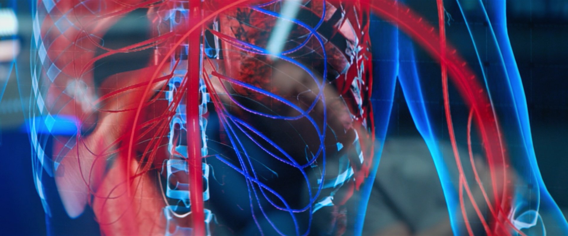 extant_StarTrekDiscovery_2x02-Eden_03972.jpg